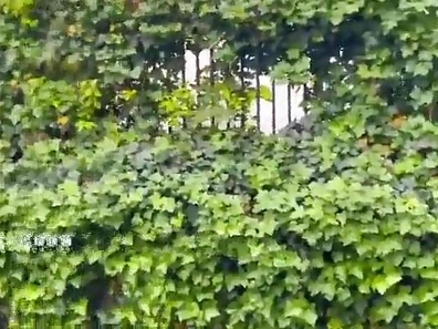 Seiko Mizuhara Exposes Her Secrets As A Naughty Teacher To Her Students