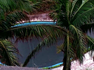 Sultry Erika Kitagawa Gives A Blowjob And Tit Fuck Outdoors