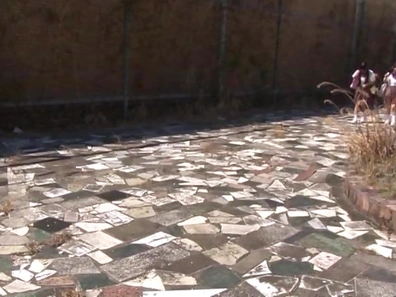 Hardcore schoolgirl loves the tasty fuck