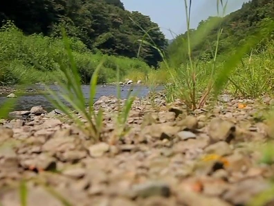 Busty Rina Araki fucks in outdoor session