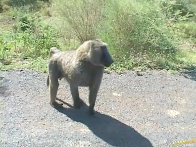 Yui Takashiro Lovely Asian babe gives a blowjob